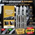 Stylo de Retouche pour Jantes Auto – Noir & Argent